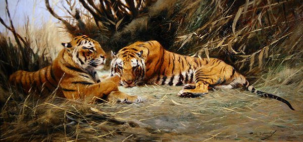 Sibiriske Tigre af Wilhelm Kuhnert