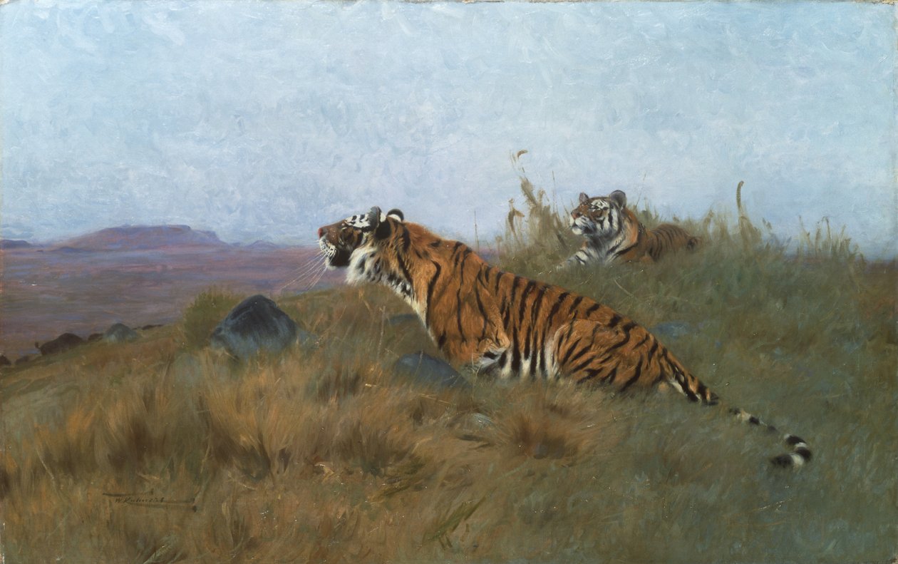 Tigre, der forfølger deres bytte (maleri) af Wilhelm Kuhnert