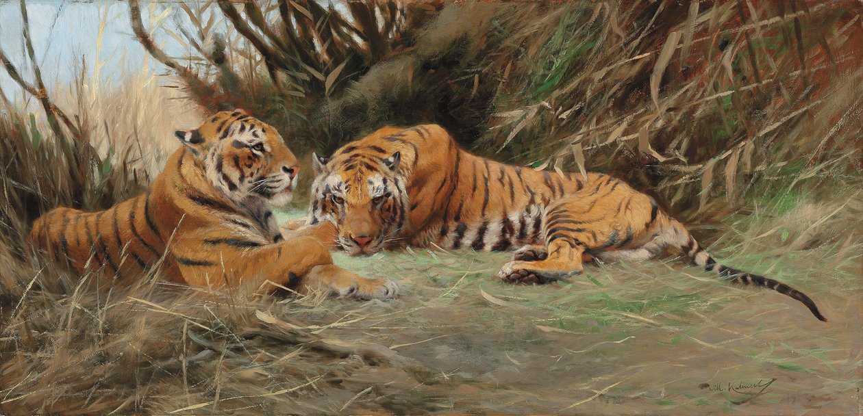 Tigers at Dawn, 1913 af Wilhelm Kuhnert