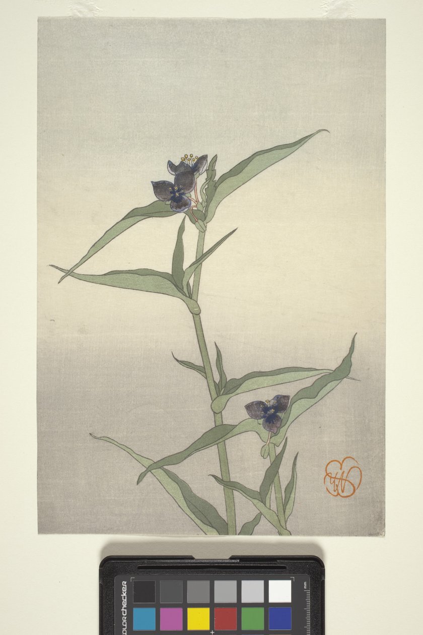 Flower Study, ca. 1908 (træblok i farver) af Wilhelmina Seegmiller