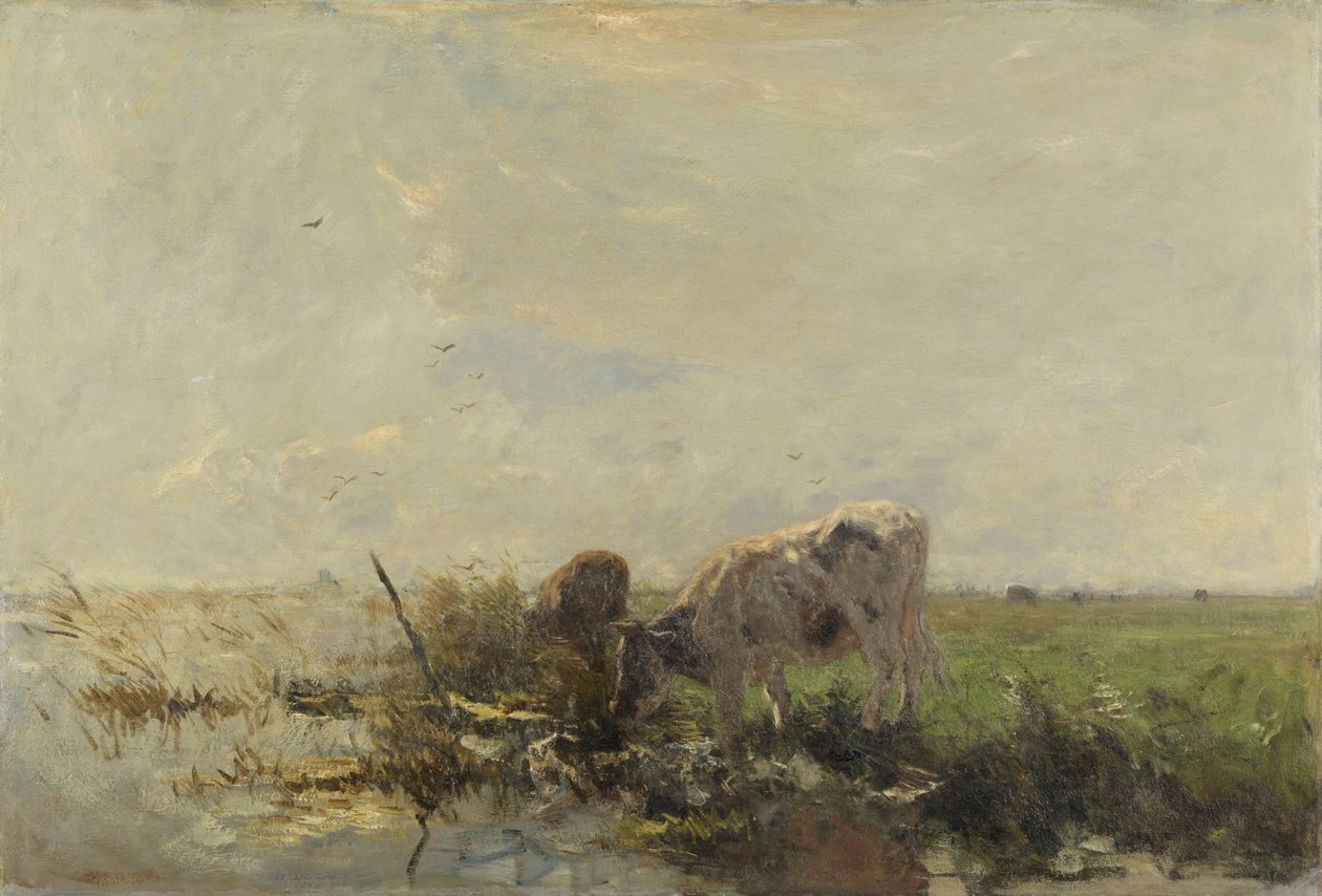 Køer på en vandpyt af Willem Maris