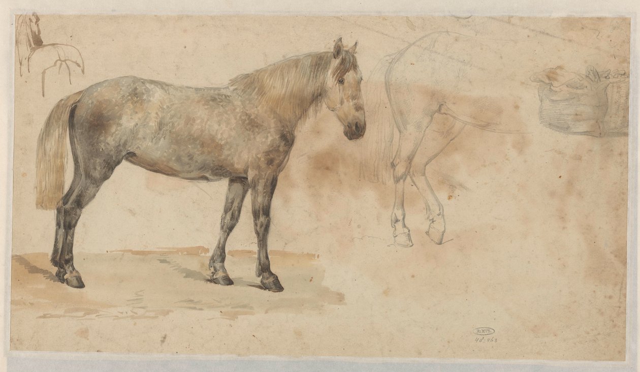 Studier af en hest af Willem Carel Nakken