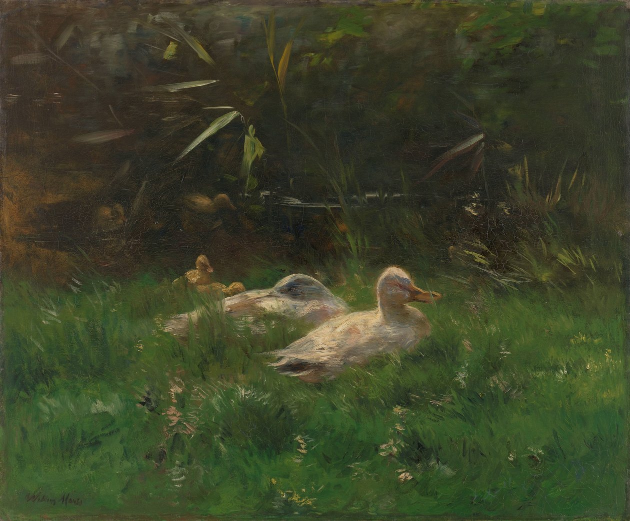 ænder af Willem Maris