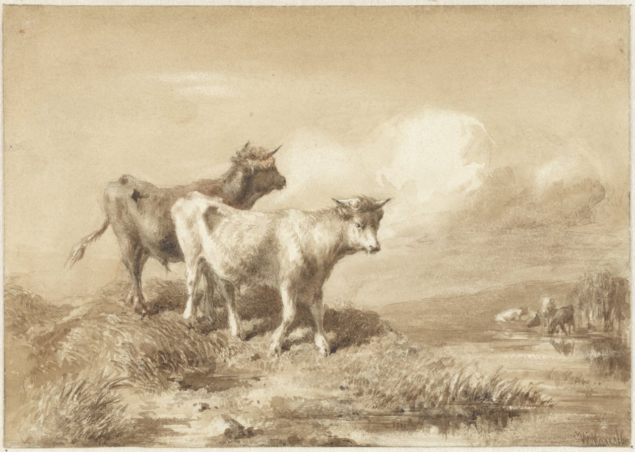Køer ved vandet af Willem Maris
