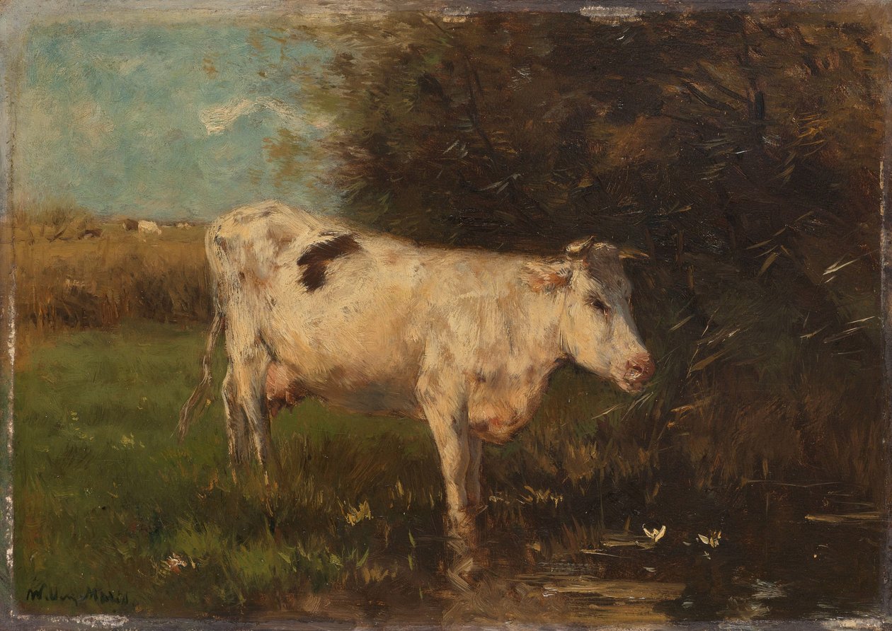 Hvid ko af Willem Maris
