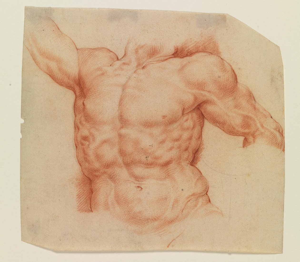 Set forfra af Laocoons torso af Willem Panneels