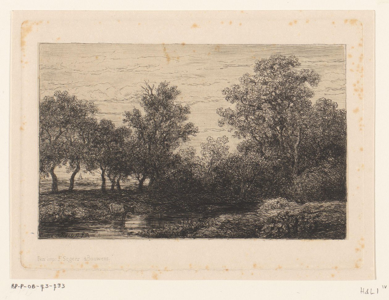 Bøg af Willem Roelofs (I)
