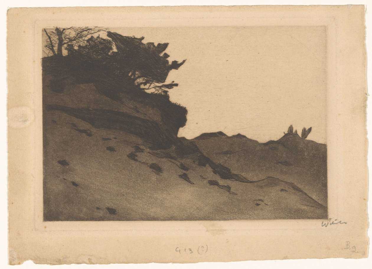 Buske på en sandflugt af Willem Witsen (signed by artist)