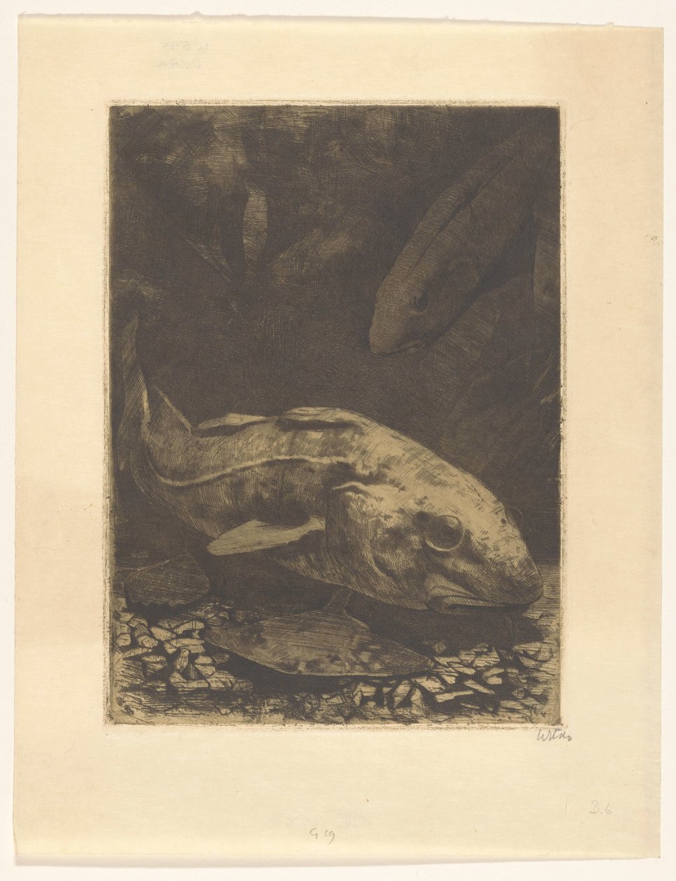 Fisk og vandplanter af Willem Witsen (signed by artist)