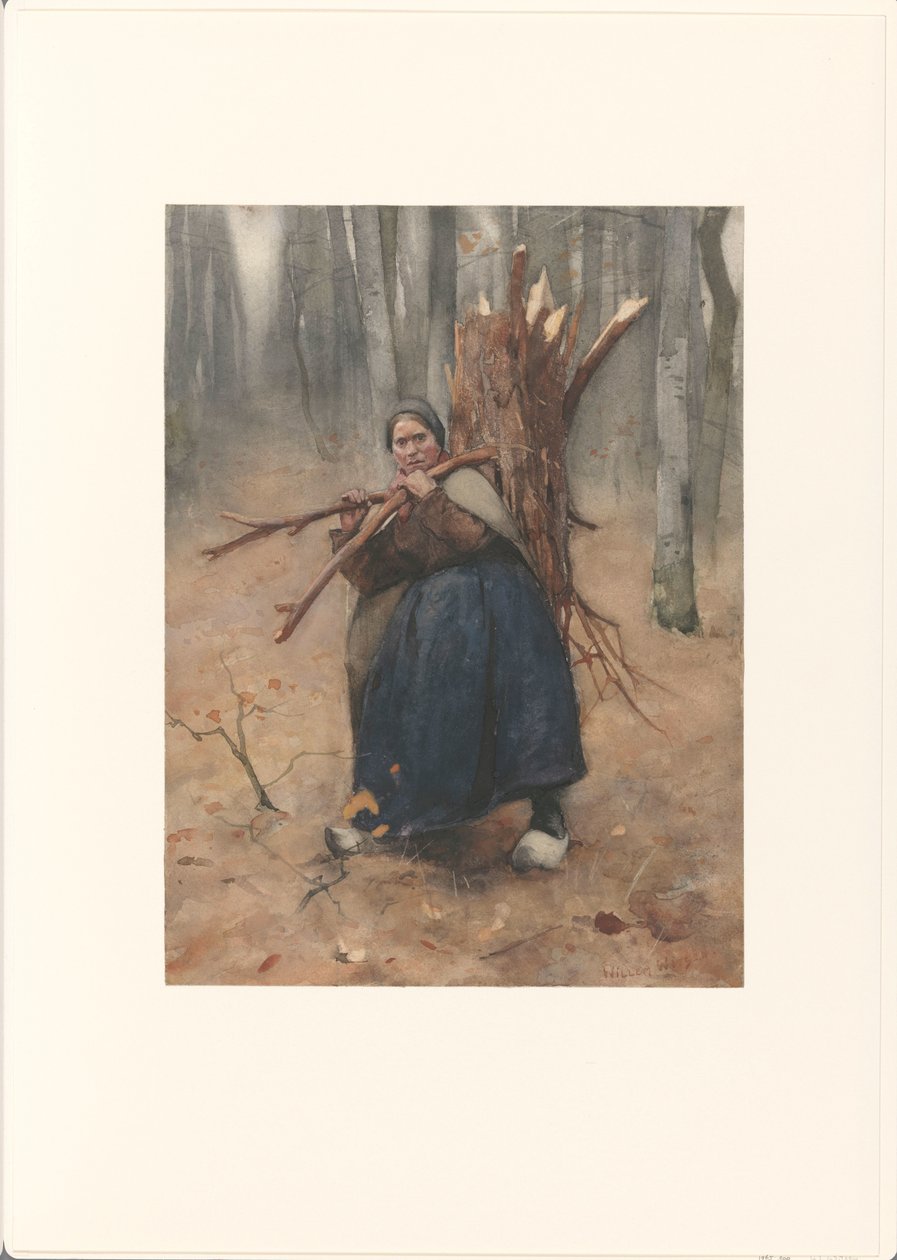 træsamler af Willem Arnoldus Witsen