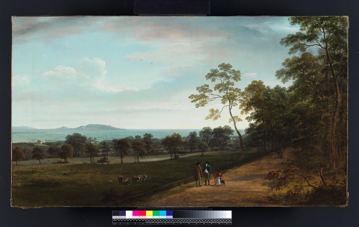 Udsigt i Mount Merrion Park, 1806 af William Ashford