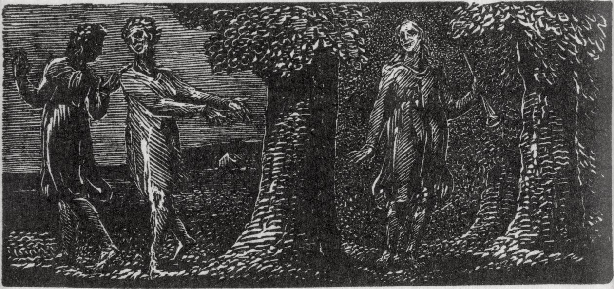 Colinet hånet af to drenge, illustration fra Dr. Thorntons 