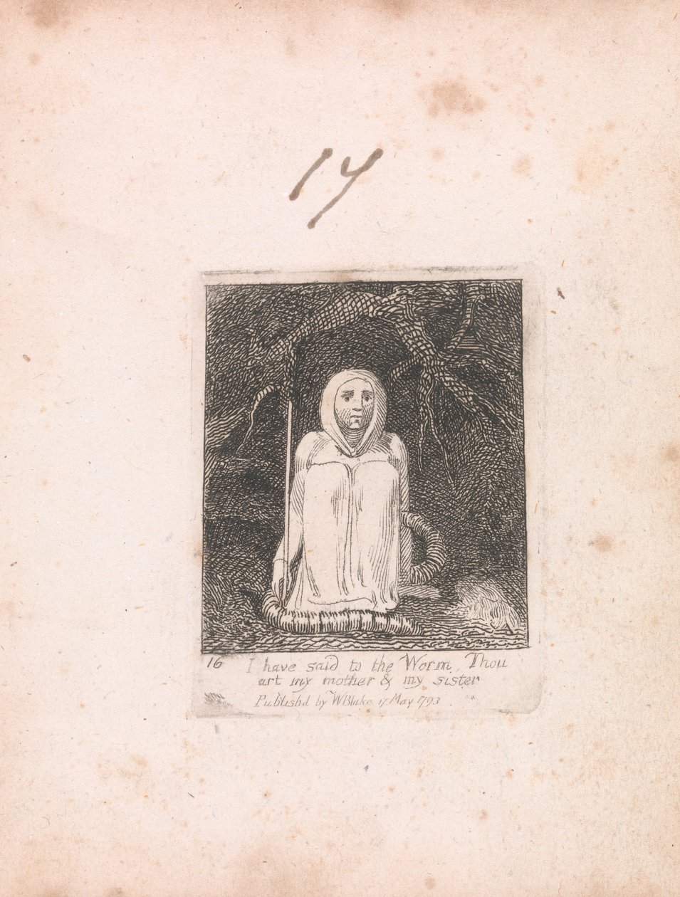 For børn. Paradisets porte, plade 18, har jeg sagt til ormen. . . . af William Blake