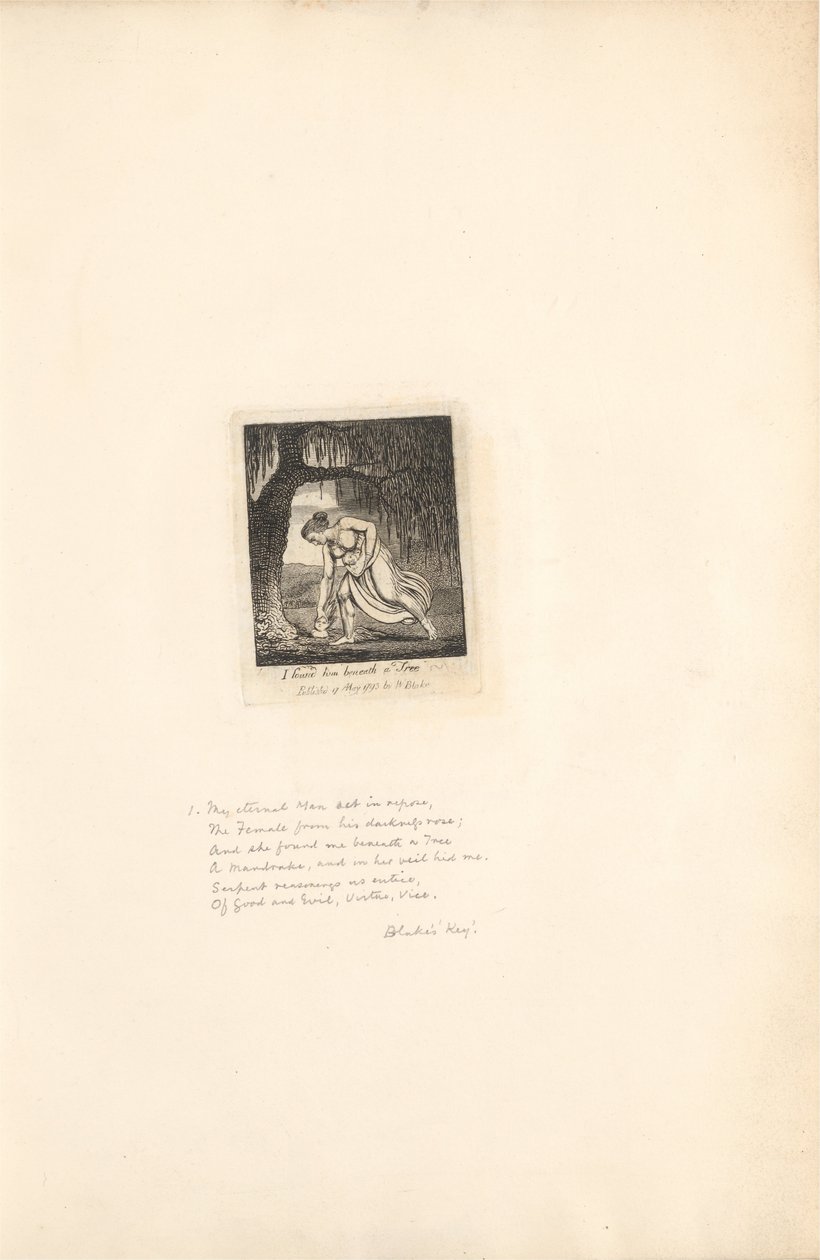 For kønnene- Paradisets porte, plade 3, fandt jeg ham under et træ af William Blake