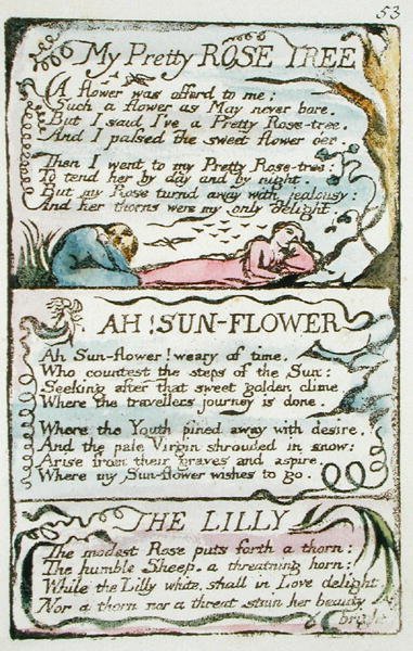 My Pretty Rose Tree, plade 53 (Bentley 43) fra The Songs of Innocence and of Experience (Bentley kopi L) 1789-94 (reliefradering med pen & wc på papir) af William Blake