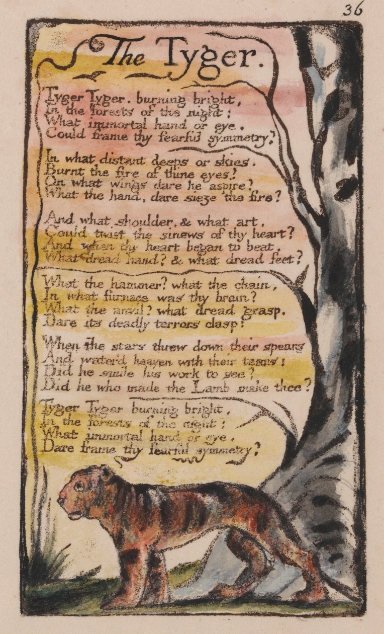 Songs of Innocence and of Experience, Plate 36, The Tyger (Bentley 42) af William Blake