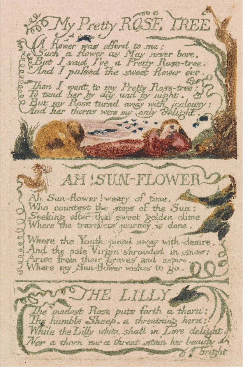 Songs of Innocence and of Experience, Plate 47, My Pretty Rose Tree (Bentley 43) af William Blake