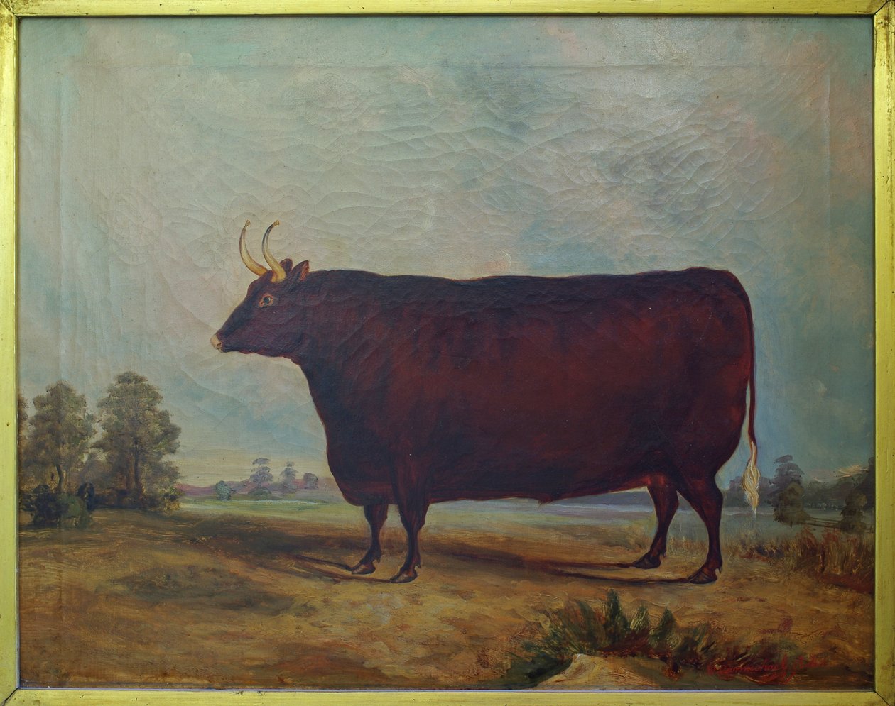A North Devon Ox in a Landscape, 1837 af William Carmichael Baker