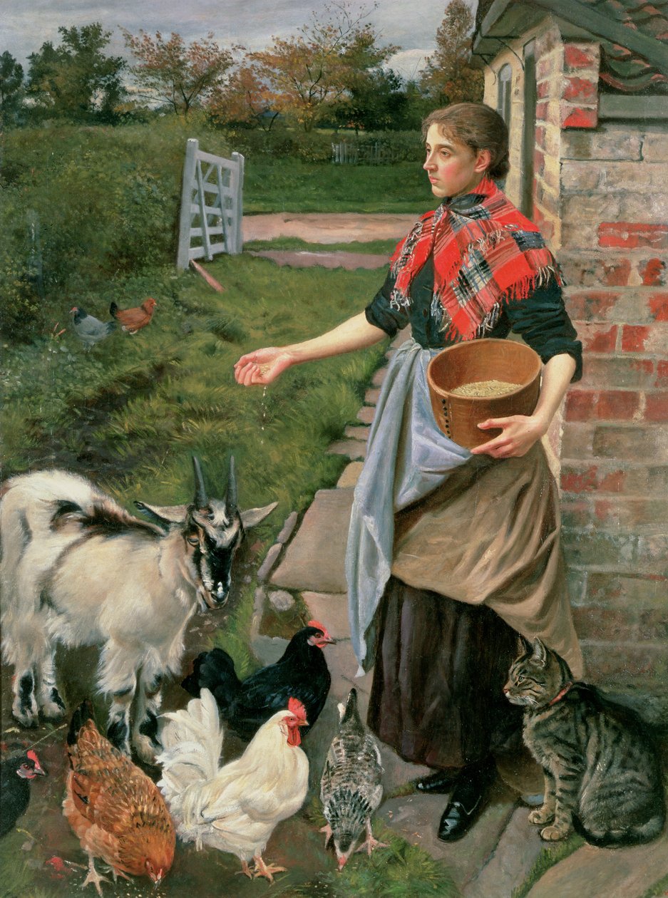 Fodring af hønsene af William Edward Millner