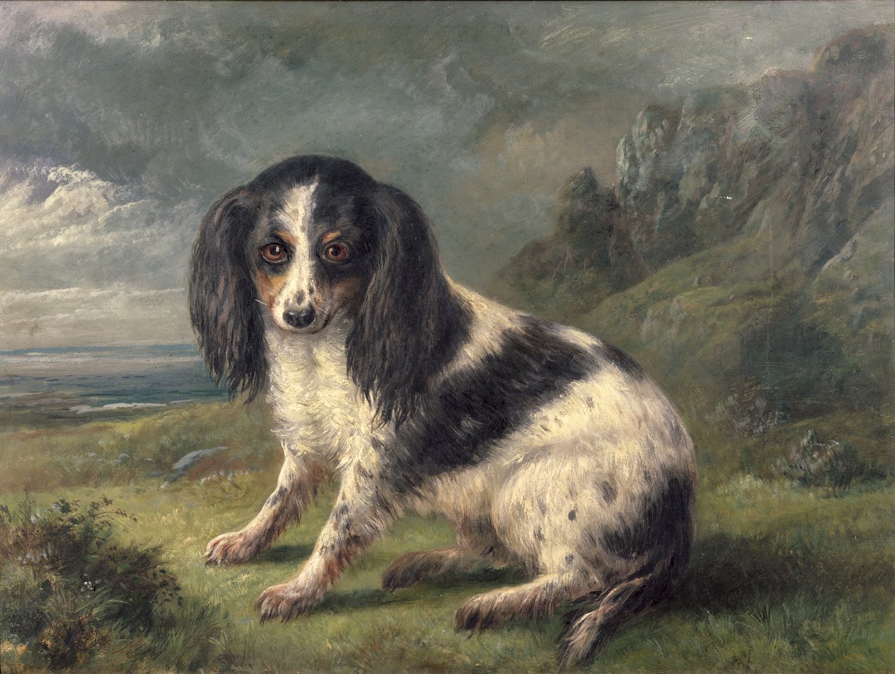 En King Charles Spaniel af William Ellis