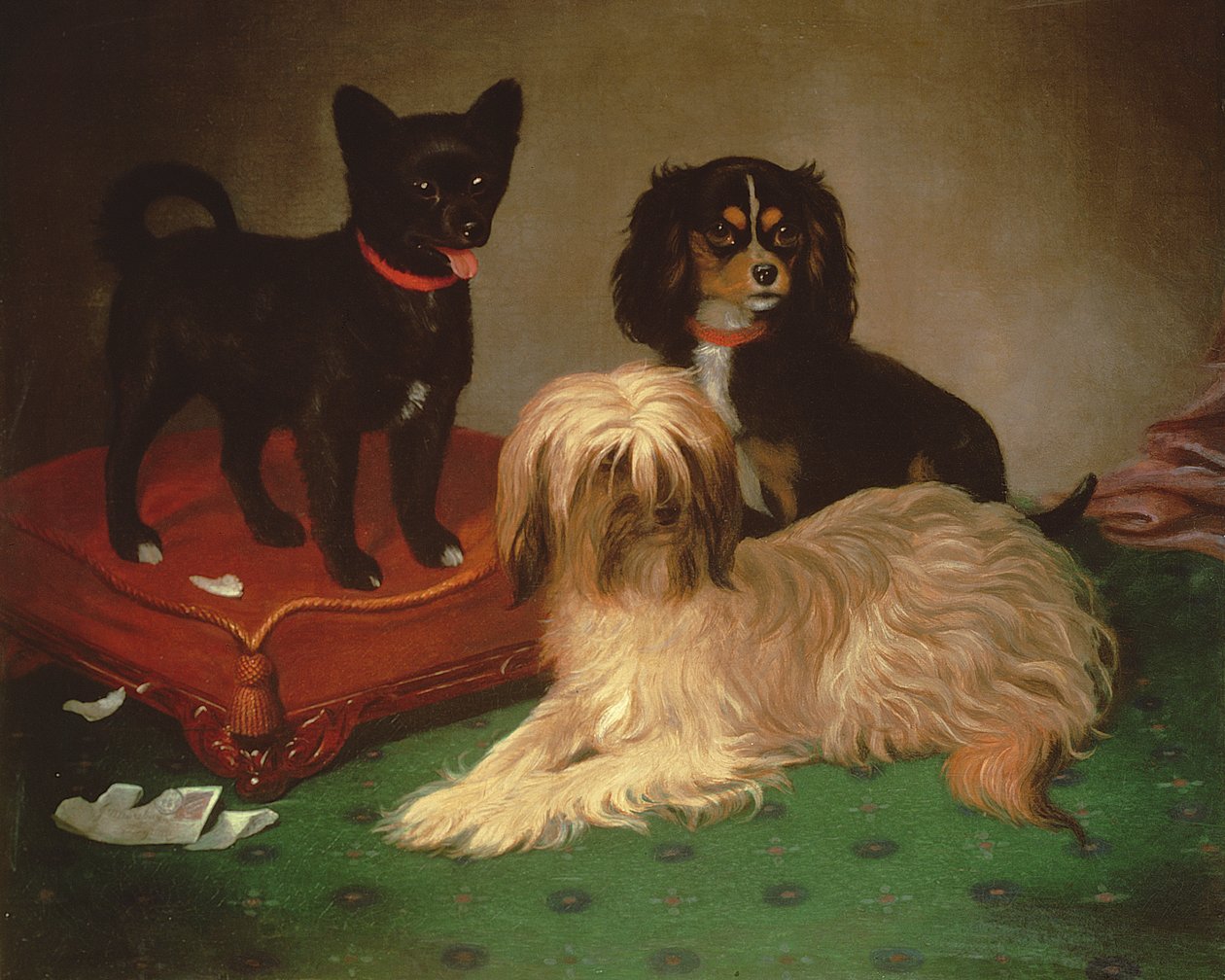 Tre hunde (olie) af William Elsob Marshall