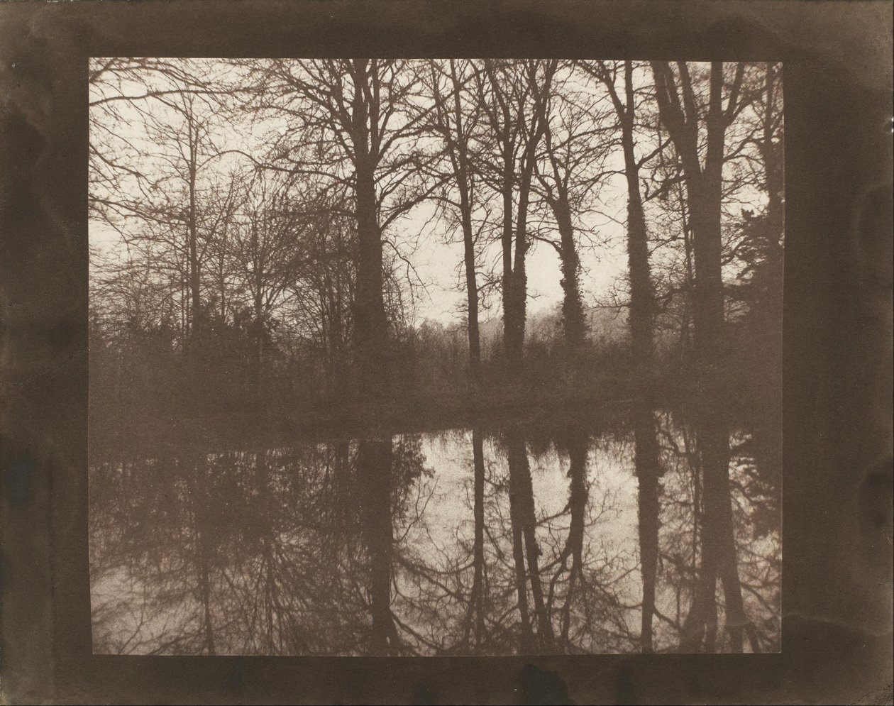 Træer og refleksioner af William Henry Fox Talbot