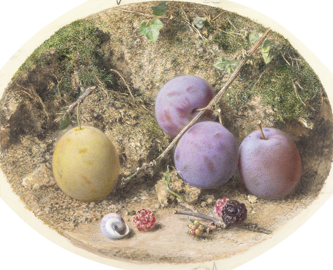 Plums and Mulberries, ca. 1860 (wc over grafit på karton) af William Henry Hunt