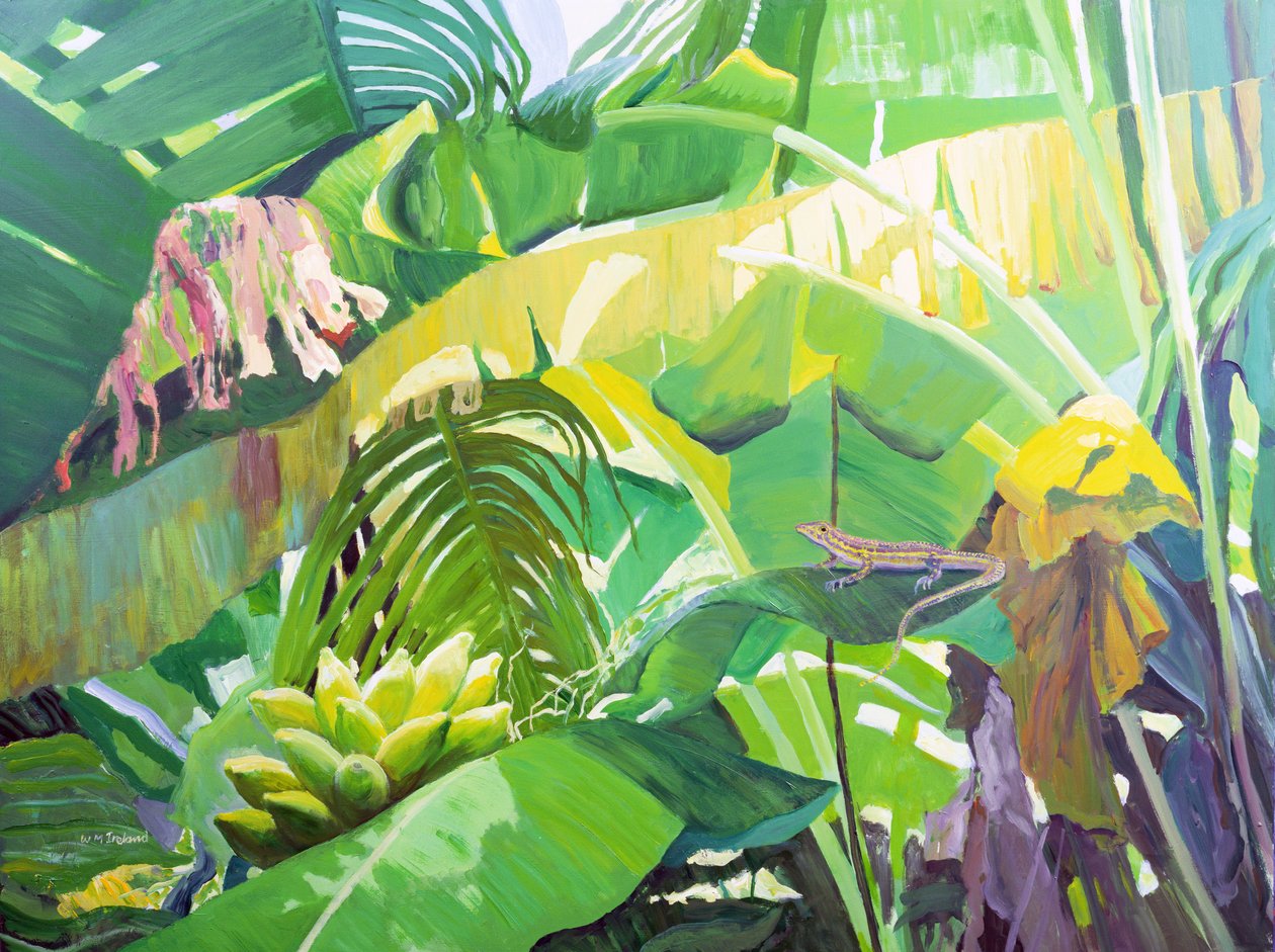 Gekko af William Ireland