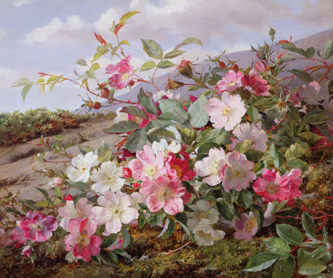 Eglantine, 1883 af William Jabez Muckley