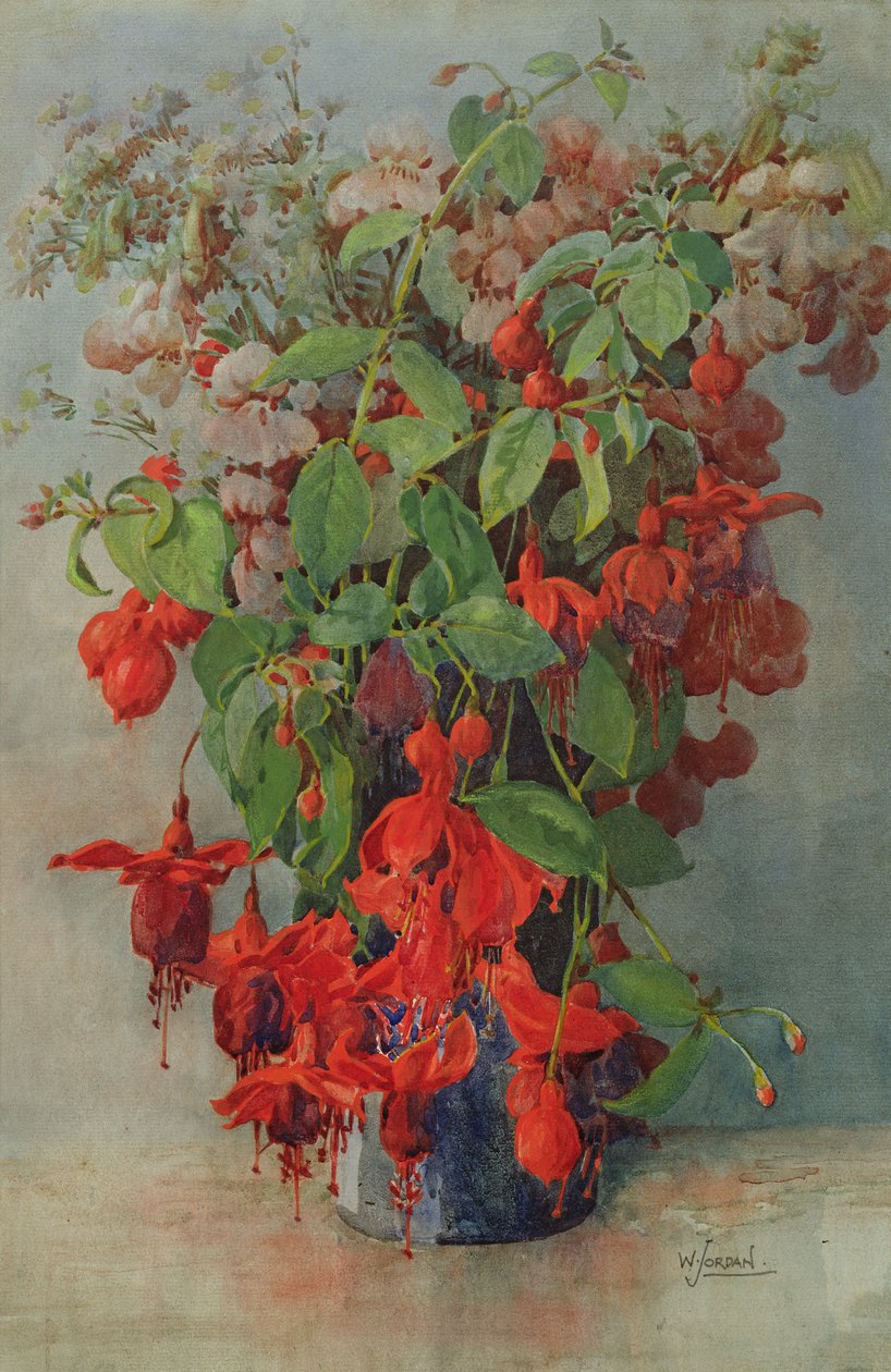 Fushia og Snapdragon i en vase (blyant og wc) af William Jordan