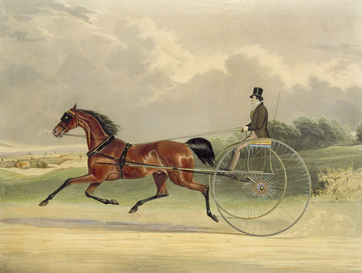 Lord William, graveret af J.R. Macrell (fl.1845), 1845 (farvegravering) af William Joseph Shayer