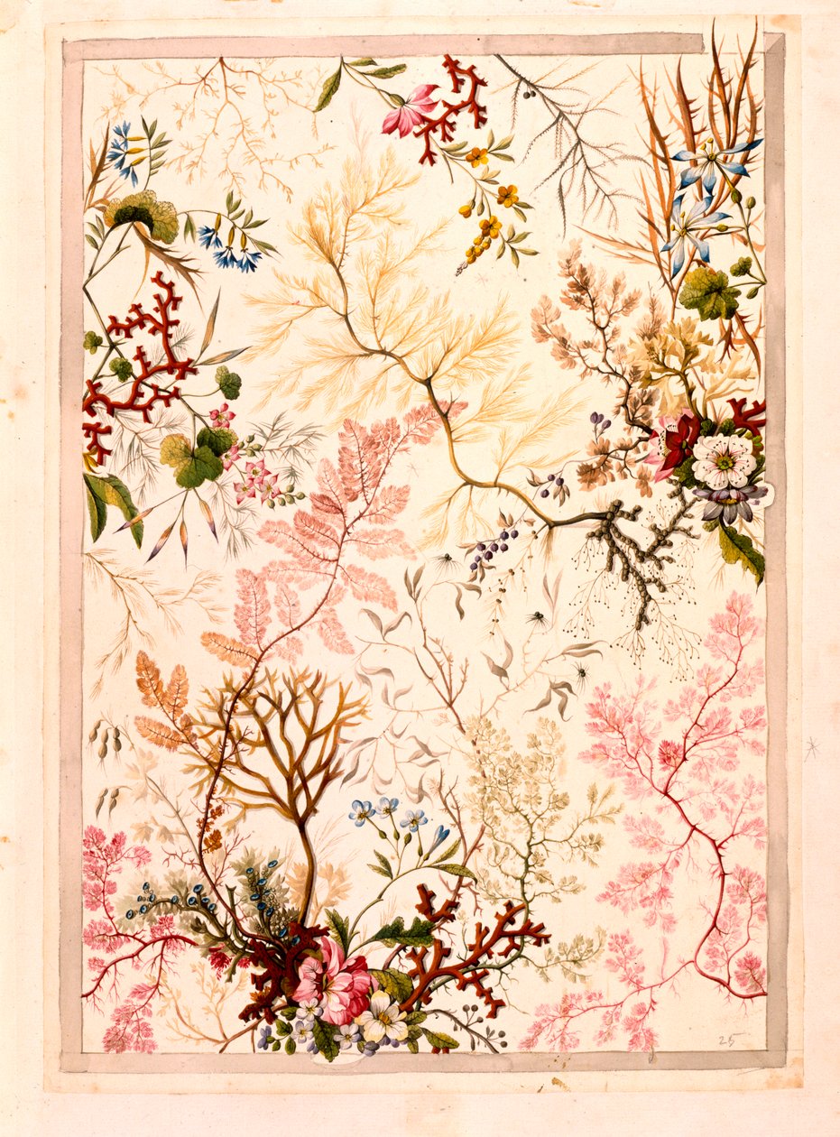 Marmor endepapir (papir) af William Kilburn