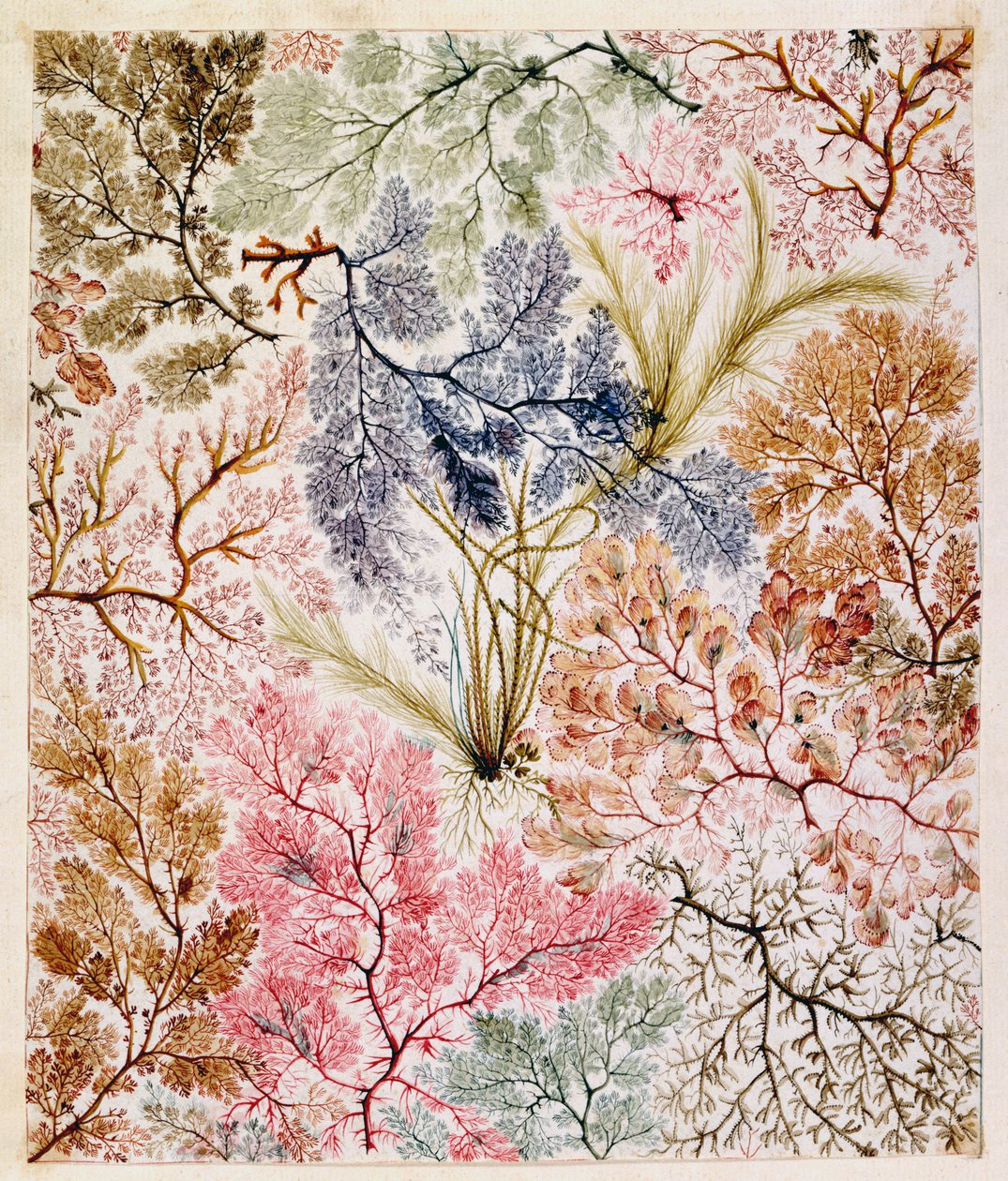 Tekstildesign, ca.1788-92 af William Kilburn