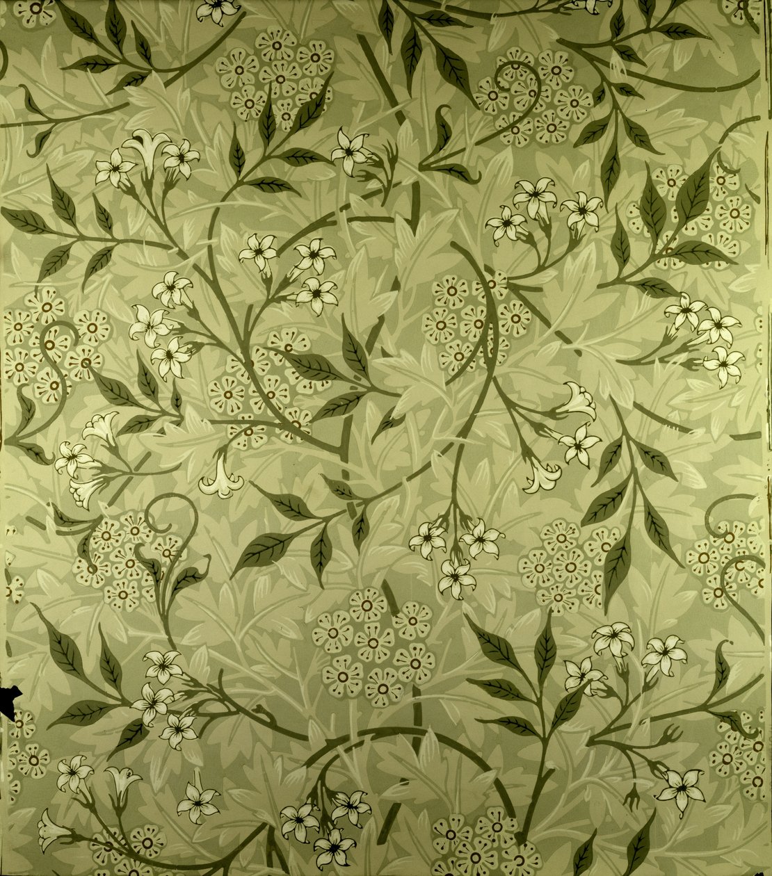 Tapetmønster "Jasmine", 1872 af William Morris