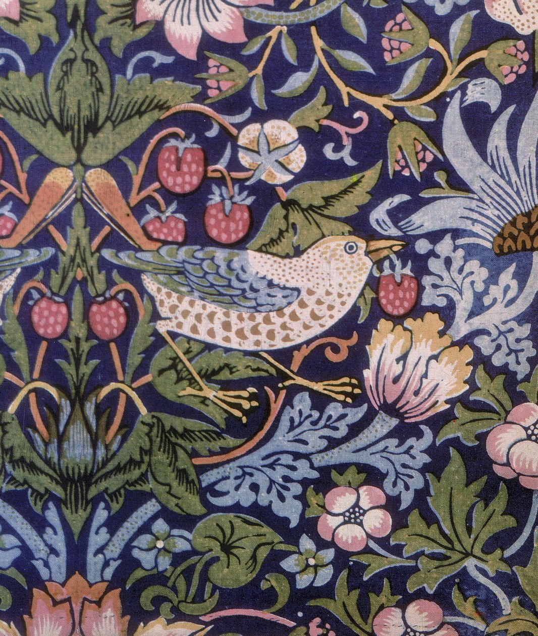 Strawberry Thief gardin, 1883 (trykt tekstil) af William Morris