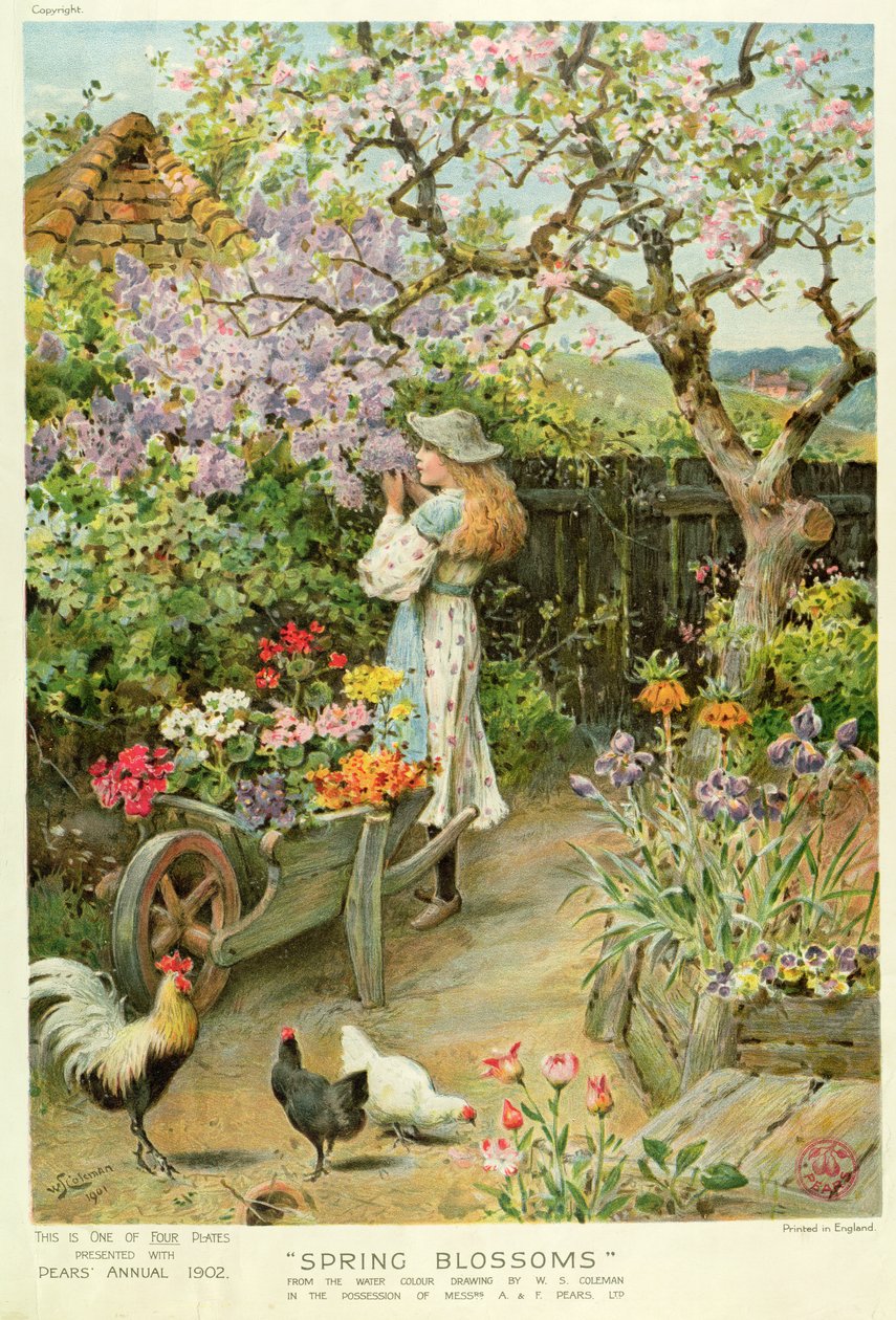 Spring Blossoms, fra Pears Annual, 1902 af William Stephen Coleman