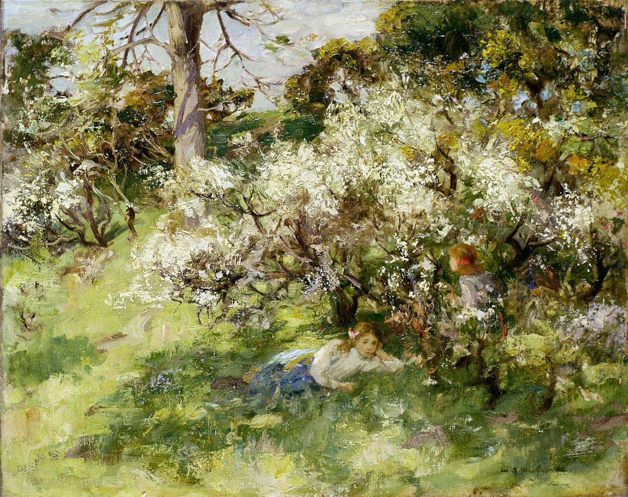 Sloe Blossom af William Stewart MacGeorge