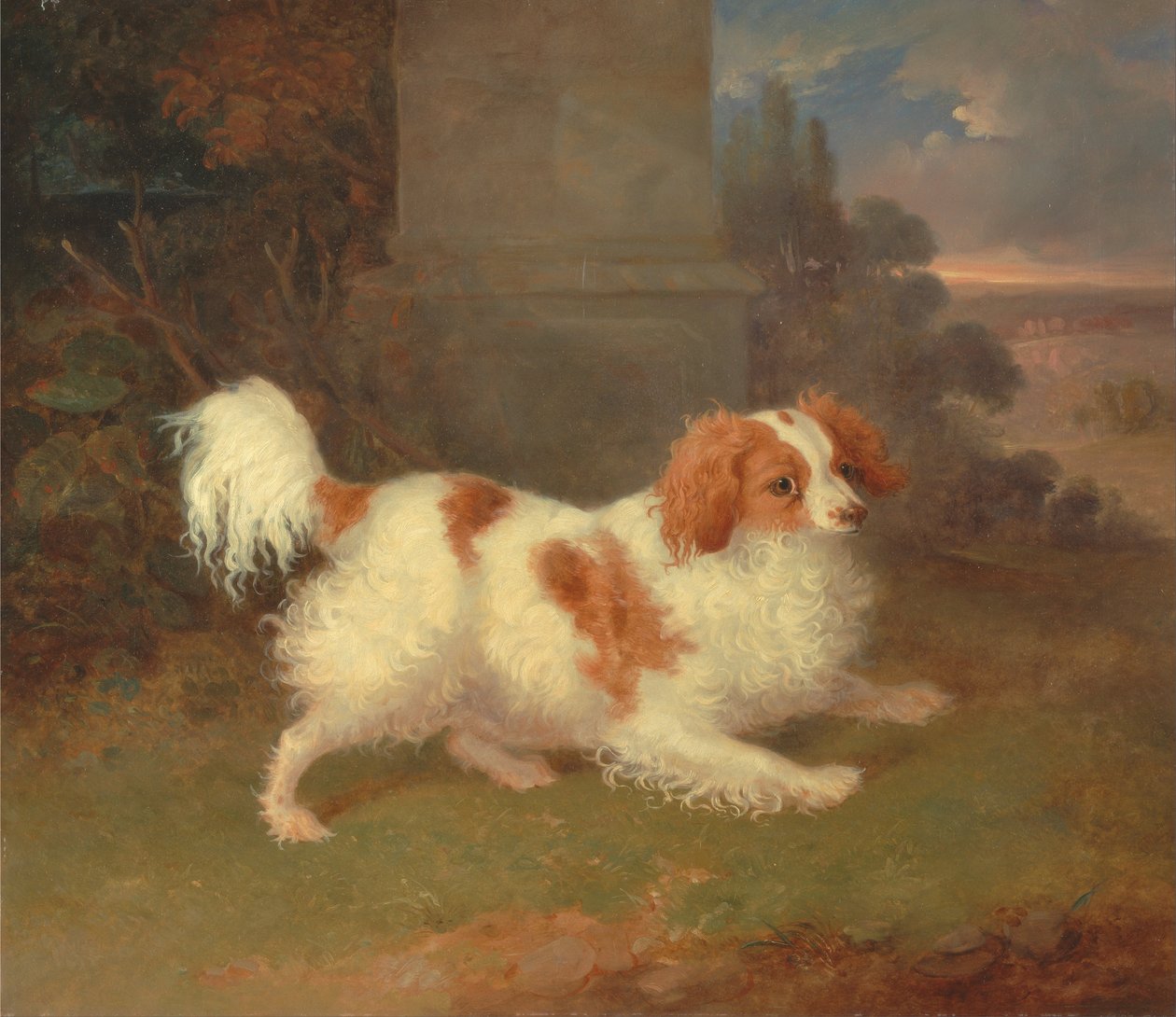 En Blenheim Spaniel af William Webb