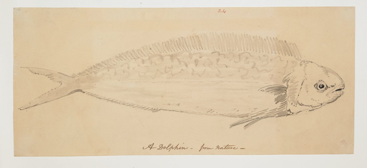 WD 961 f.24 af William Alexander