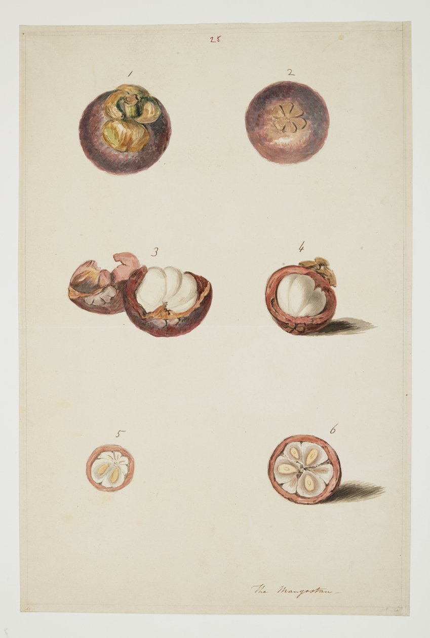 WD 961 f.25 af William Alexander