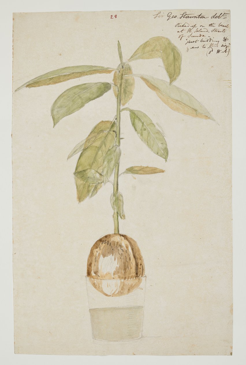 WD 961 f.28 af William Alexander
