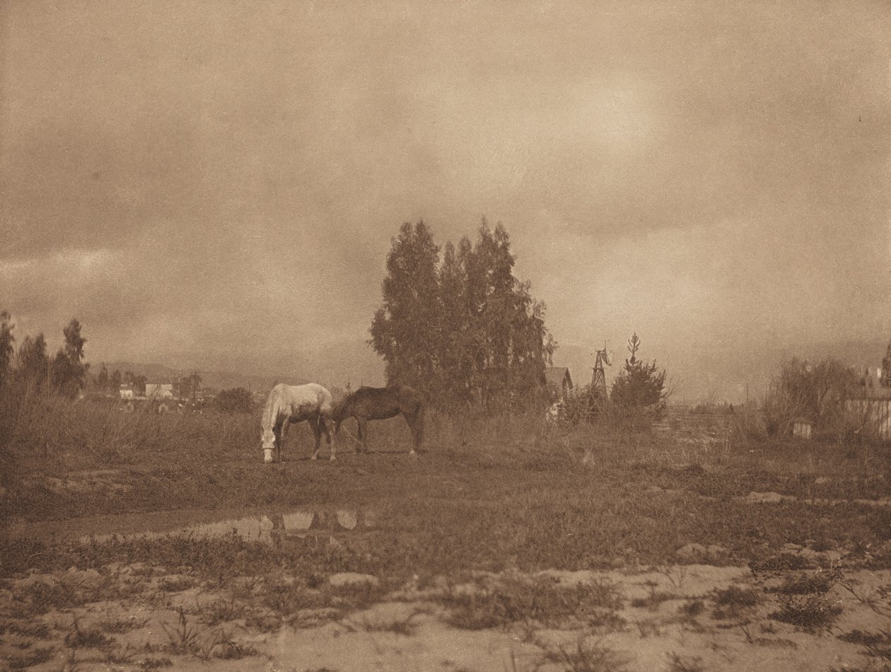 Pasadena Landskab af William B. Post