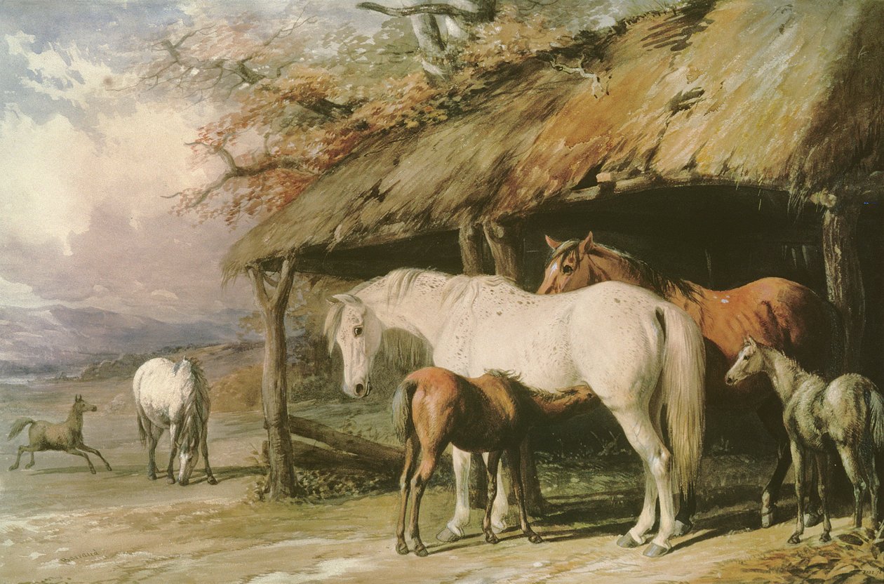 Hopper og føl, 1800-tallet af William Barraud