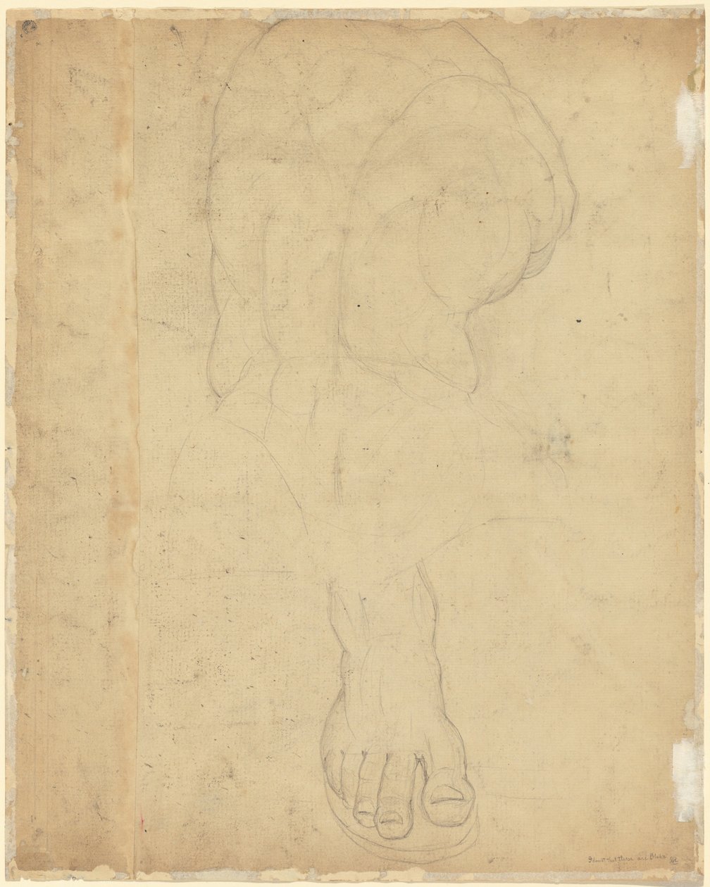 Belvedere Torso [verso] af William Blake