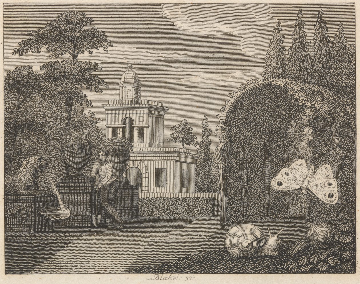 Sommerfuglen og Sneglen af William Blake