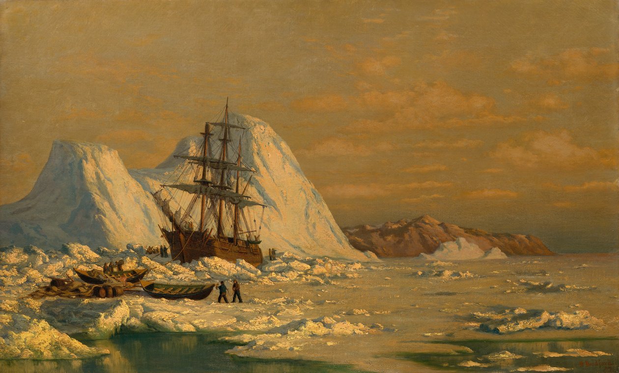 En hændelse af hvalfangst. af William Bradford