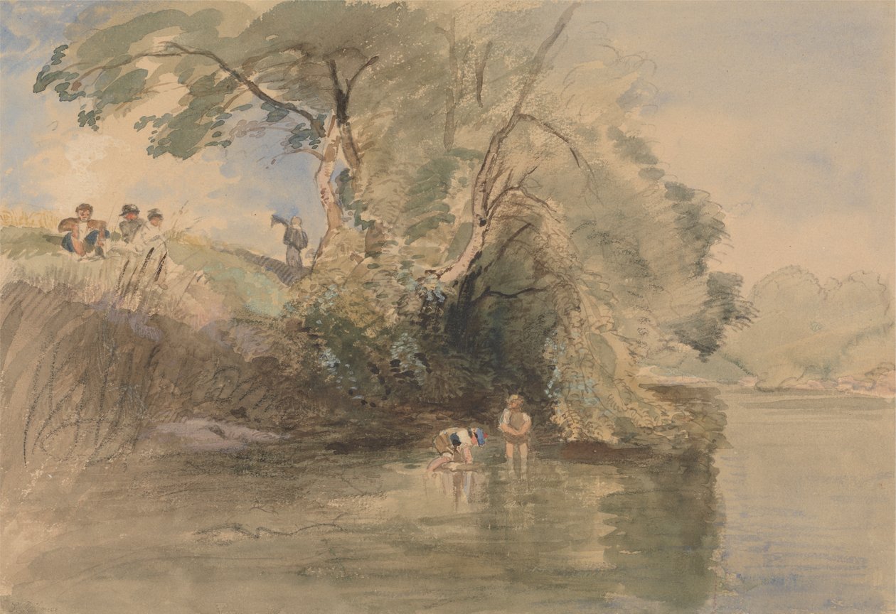 Padling af William Collins