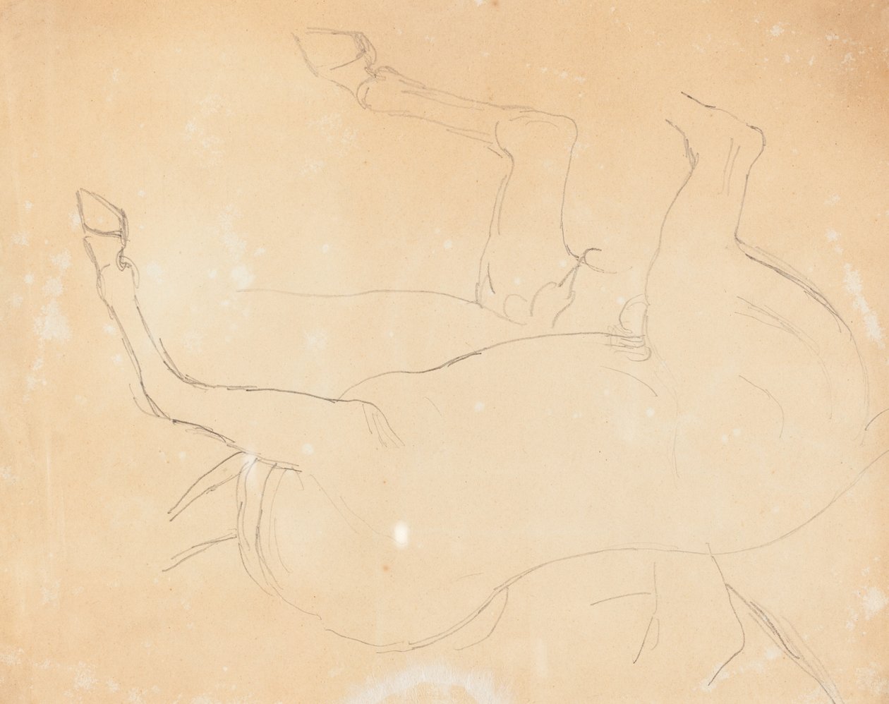 Studie af en hest [verso] af William Etty