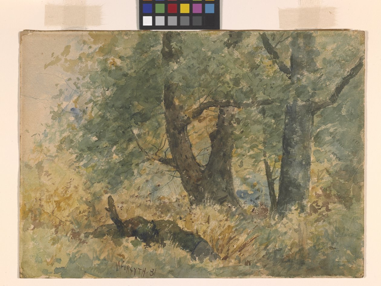 Skovlandskab (akvarel) af William Forsyth