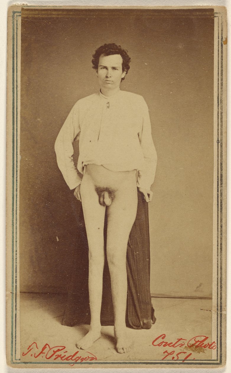 T.F. Pridgeon [offer for borgerkrigen] af William H. Bell